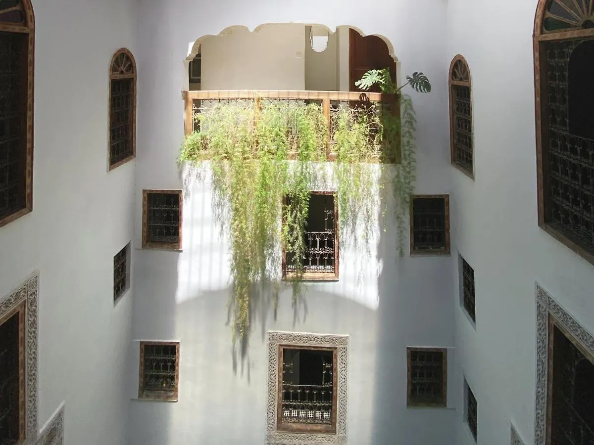 Riad 9 Fez