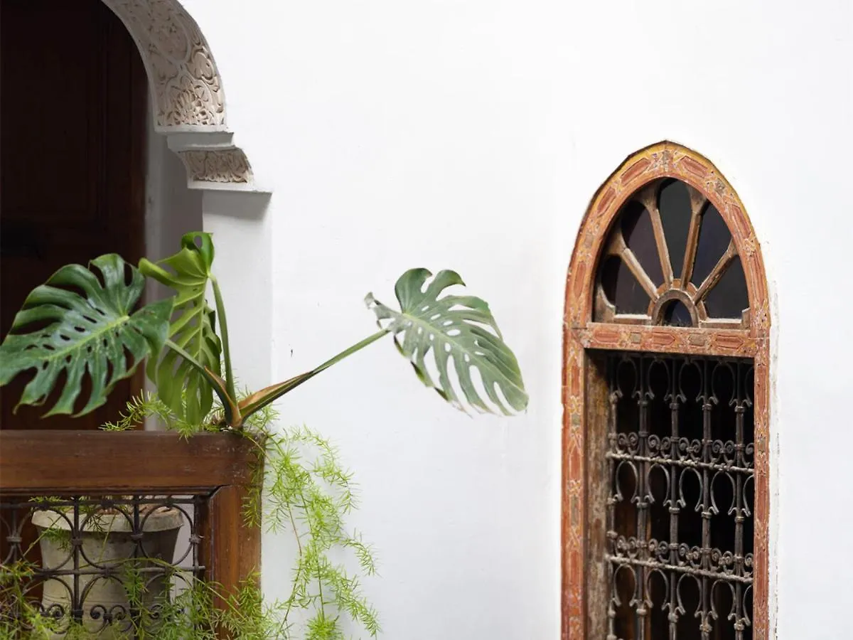 Riad 9 Fez